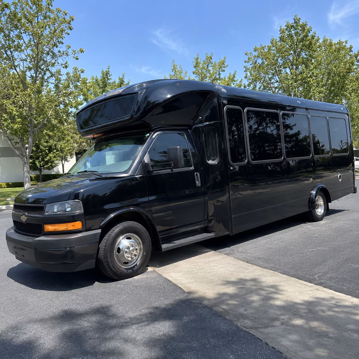 lake charles 15 passenger party bus