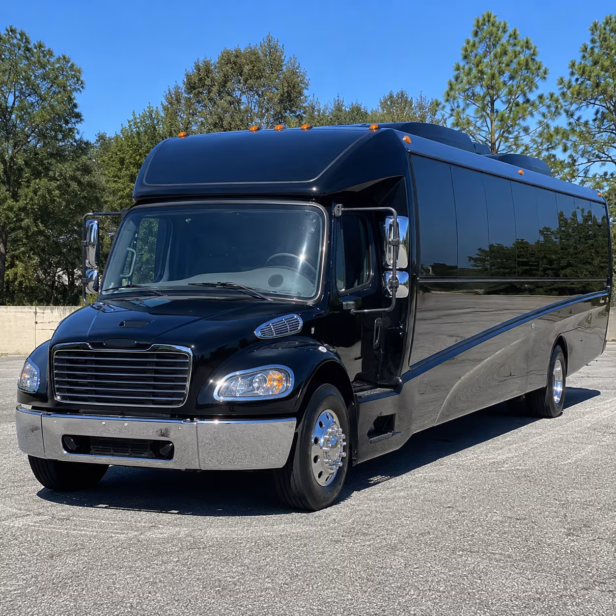 lake charles 28 passenger minibus