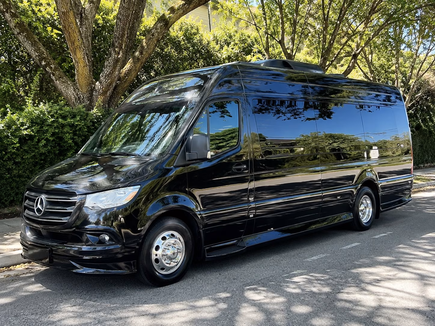 sprinter van with driver